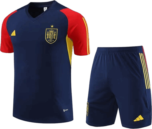 Conjuntos de Entrenamiento Selección España
